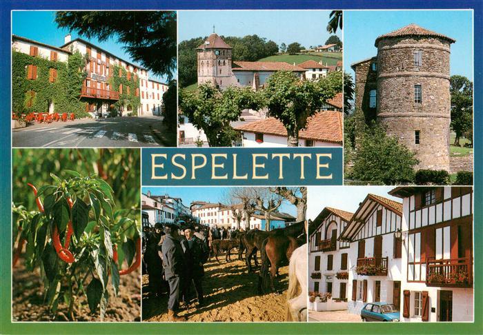 Espelette 64 Pyrenees-Atlantiques Piments d’Espelette Foire aux pottoks