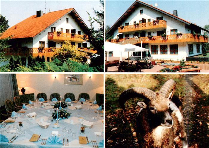 Meisdorf Falkenstein Harz Hotel Forsthaus Restaurant Mufflonwild