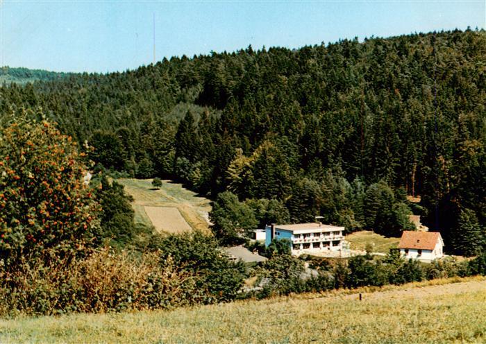 Oberlohrgrund Hotel Restaurant Pension Immenhof