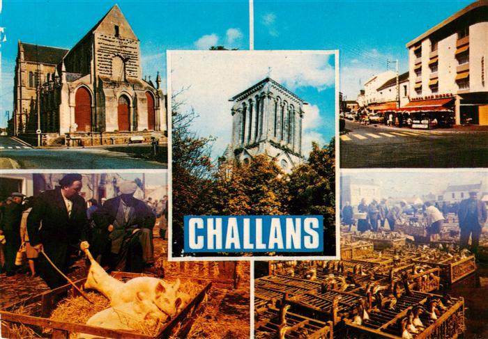 Challans 85 Kathedrale Innenstadt Viehmarkt Gefluegel
