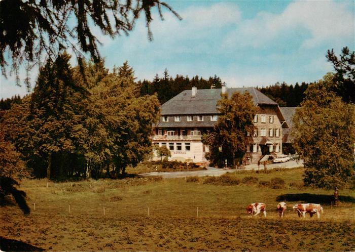 Rothaus Grafenhausen Hotel Kurhaus Rothaus mit Dependance