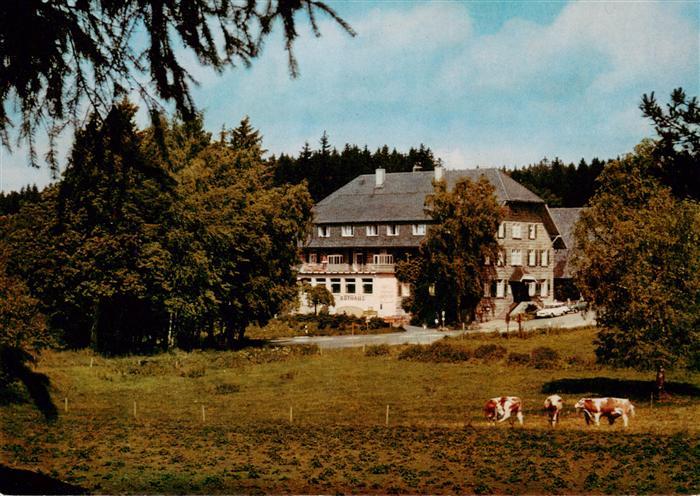 Rothaus Grafenhausen Hotel Kurhaus Rothaus mit Dependance