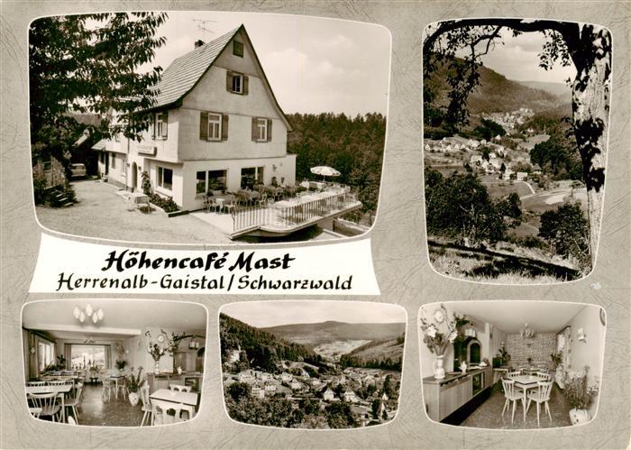 Gaistal Bad Herrenalb Hoehencafé Mast Panorama Schwarzwald Bromsilber