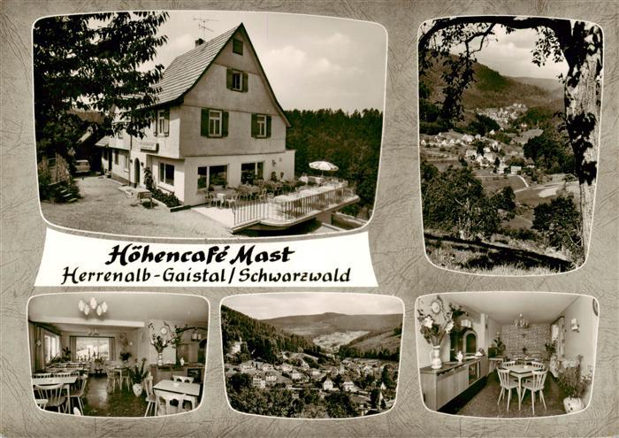 Gaistal Bad Herrenalb Hoehencafé Mast Panorama Schwarzwald Bromsilber