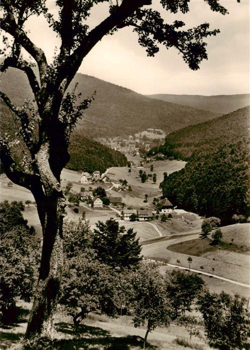 Bad Herrenalb Panorama Schwarzwald