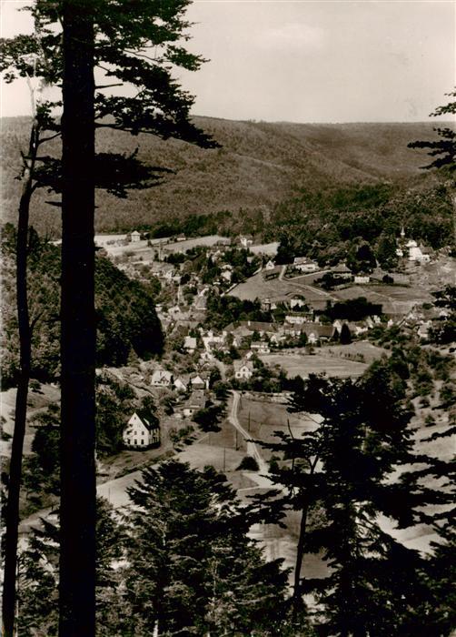 Bad Herrenalb Panorama Schwarzwald