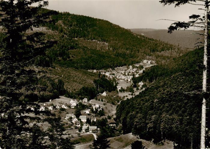 Bad Herrenalb Panorama Gaistal Schwarzwald