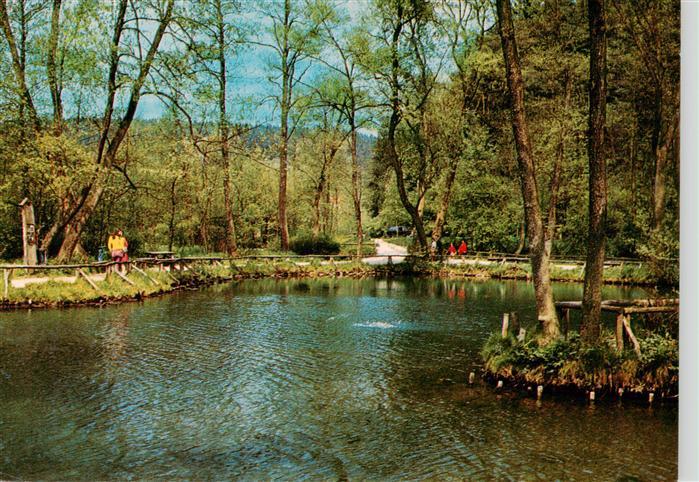 Rhumspringe Ruhmquelle