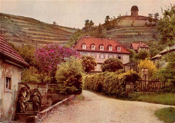 Radebeul Volksweingut Die Loessnitz blueht