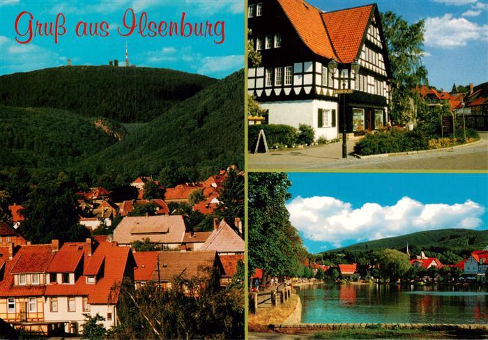 Ilsenburg Harz Panorama Fachwerkhaus Seepartie