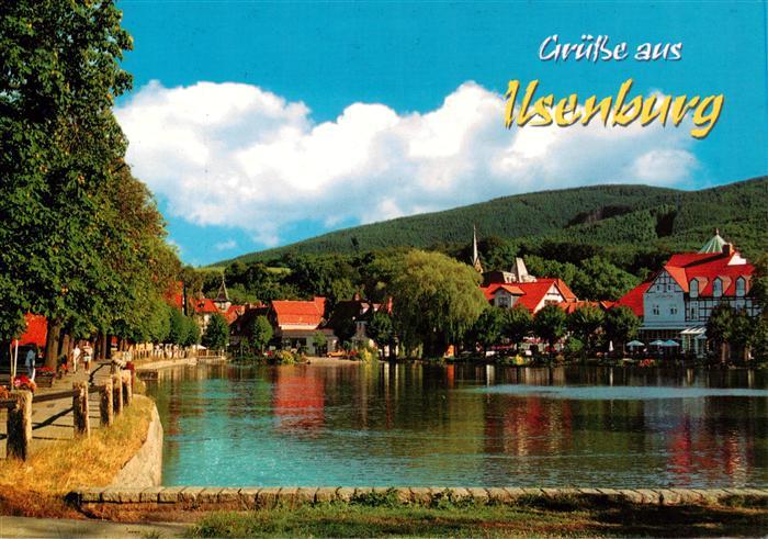 Ilsenburg Harz Panorama