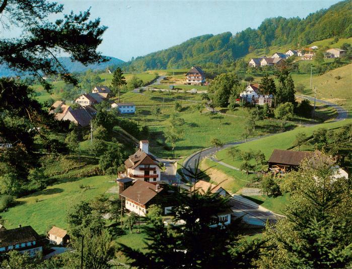 Endenburg Steinen BW Panorama