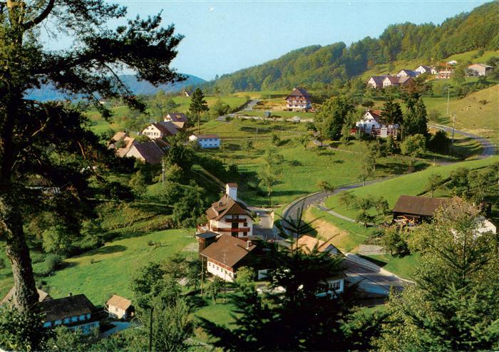 Endenburg Steinen BW Panorama