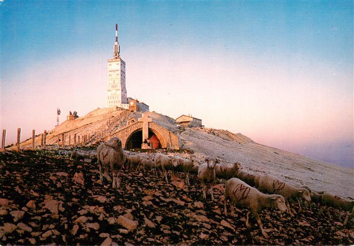 Schaeferei Sheperding Bergerie Mont Ventoux
