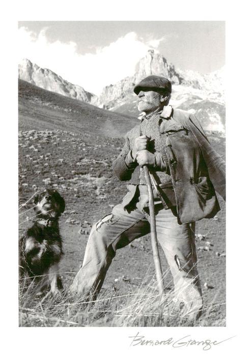 Hunde dogs chiens Bernard Grange Expro-Foto