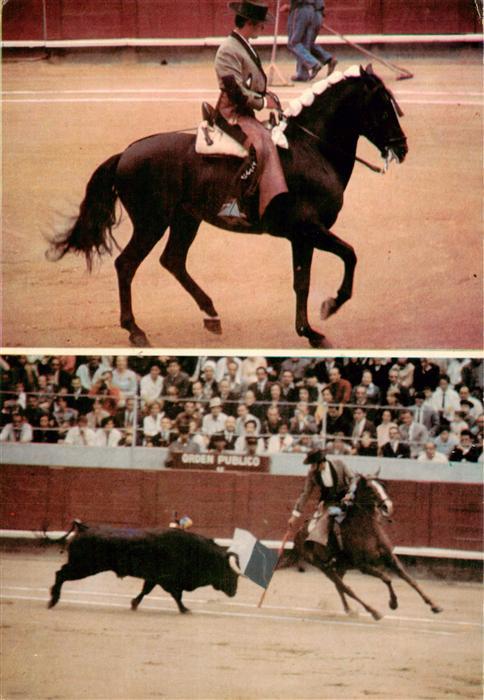 Stierkampf Corrida de Toros Bullfight Alvaro Domeco