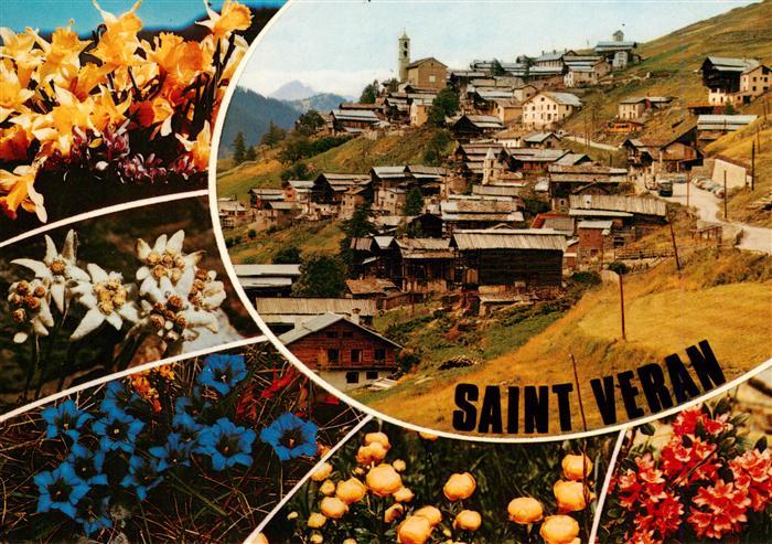 Saint-Veran Bergdorf Alpenflora