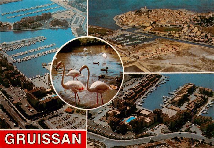 Gruissan 11 Aude Vues aériennes Flamingos