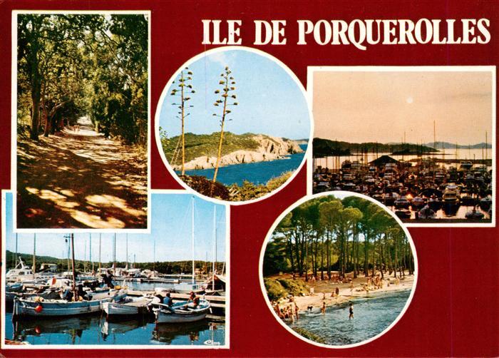 Ile de Porquerolles Chemin de la Courtade et les eucalyptus Trou des pirates Cou