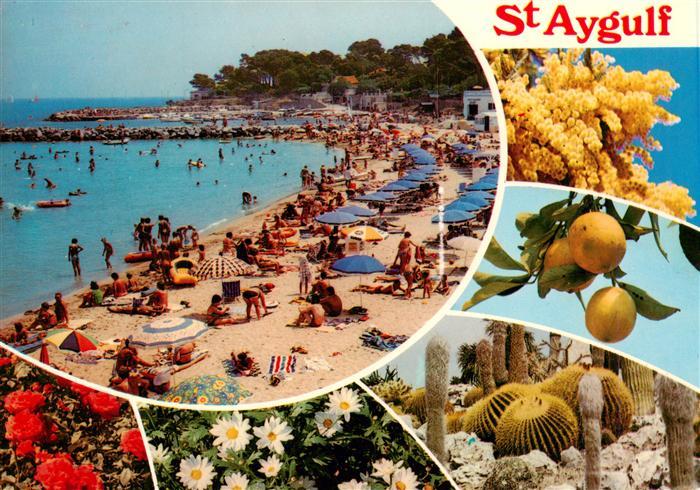 Saint-Aygulf 83 Var Plage des fleurs