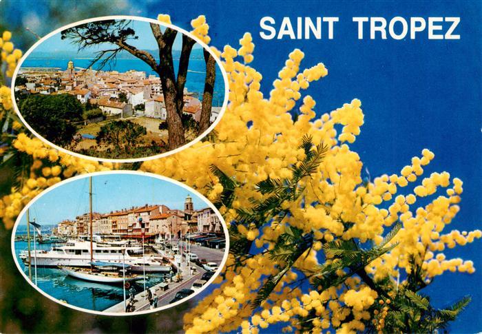 Saint Tropez Var Panorama Hafen Bluetenzauber