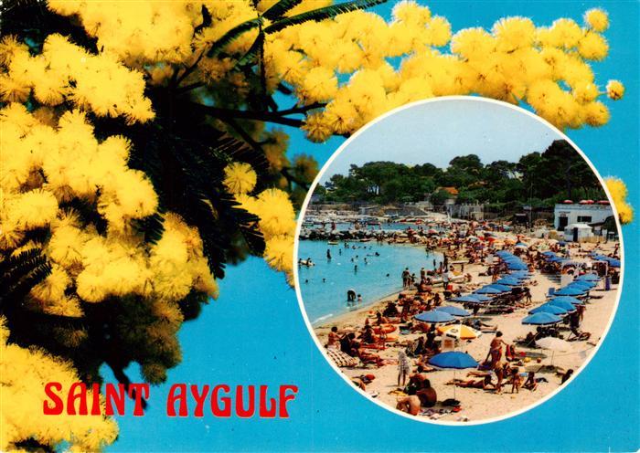 Saint-Aygulf 83 Var Strand Bluetenzauber
