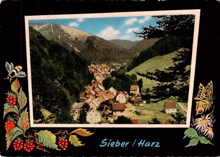 Sieber Herzberg am Harz Panorama