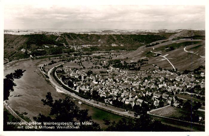 Winningen Mosel Panorama