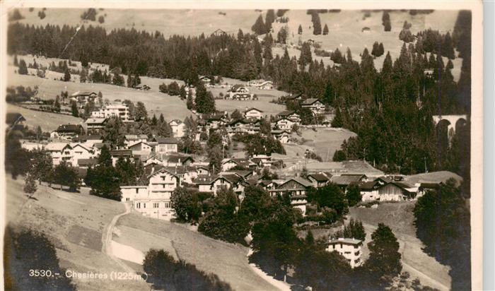 Chesieres VD Vue panoramique