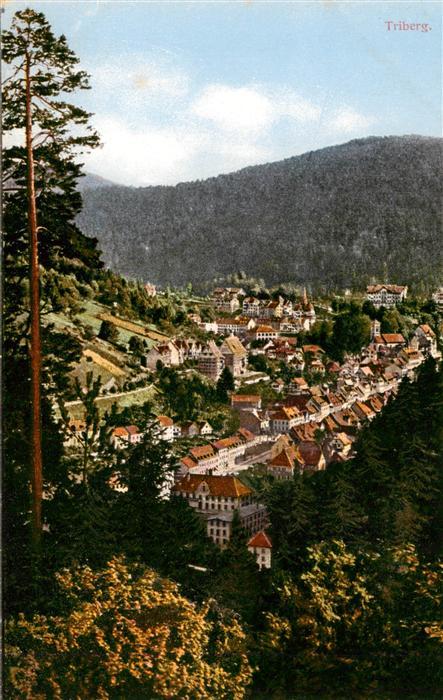 Triberg Panorama