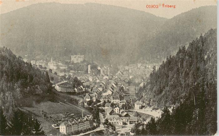Triberg Panorama