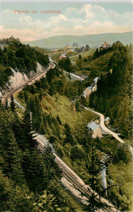 Loeffeltal Hinterzarten Panorama mit Schwarzwaldbahn