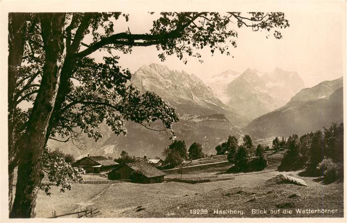 Hasliberg Bruenig BE Panorama Blick auf die Wetterhoerner Berner Alpen