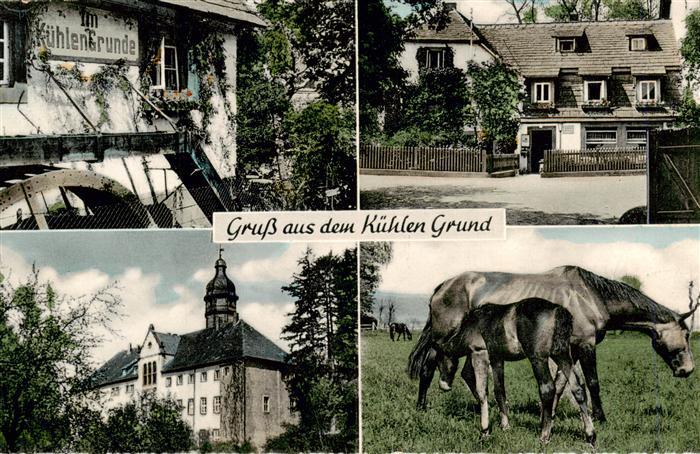 Dassel Solling Waldschaenke Im Kuehlen Grunde Details Stute mit Fohlen