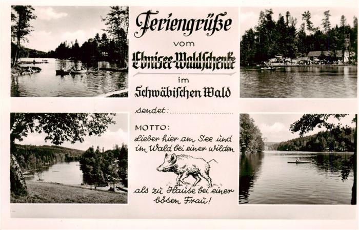 Ebnisee Welzheim Seepanorama Ebnisee Waldschenke
