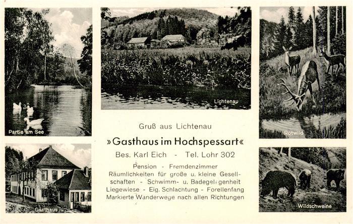 Lichtenau Spessart Gasthaus im Hochspessart Partie am See Wildschweine Rotwild