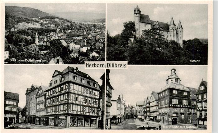 Herborn Hessen Panorama Blick vom Dollenberg Schloss Marktplatz Rathaus