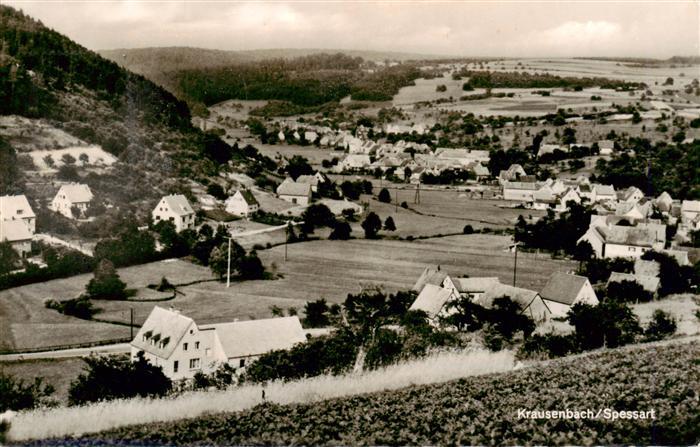 Krausenbach Dammbach Panorama
