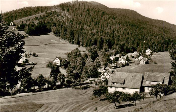 Obertal Baiersbronn Ortsansicht