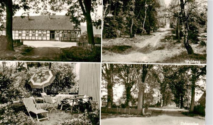 Sprakensehl Pension Meyer Waldweg Garten Eichenallee
