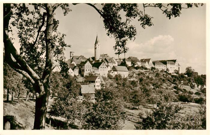 Kirchberg Jagst Panorama Schloss
