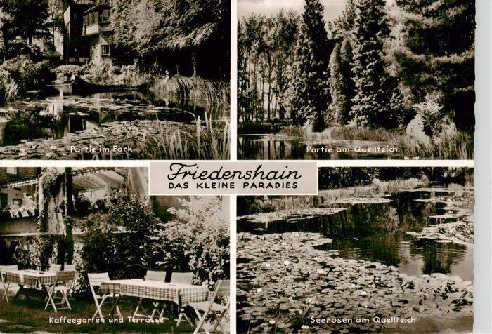 Friedenshain Elberfeld Barmen NRW Parkpartie Quellteich Kaffeegarten und Terrass