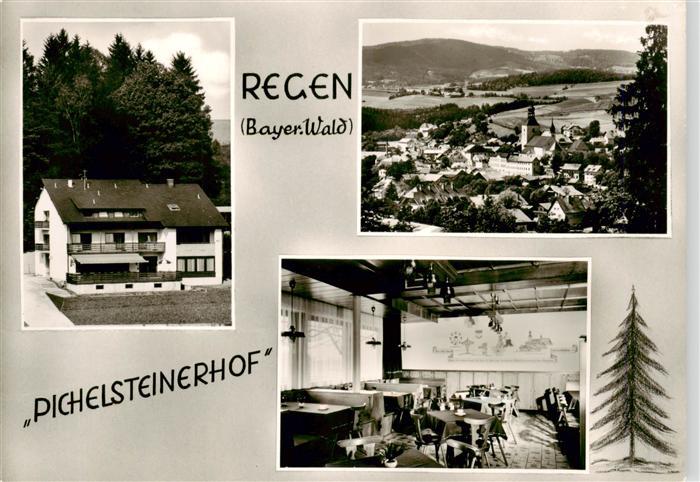 Regen Bayern Pichelsteinerhof Cafe Restaurant Panorama Gastraum