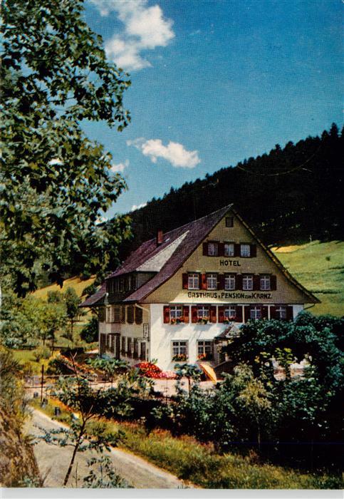 Bad Rippoldsau Schwarzwald Hotel Kranz