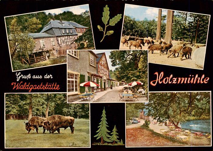Eldagsen Deister Waldgaststaette Holzmuehle am Saupark Wildschweine Bison