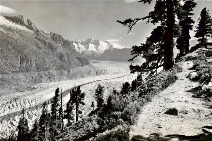 Gletscher Glacier Glaciar Aletschwald Grosser Aletschgletscher Fi