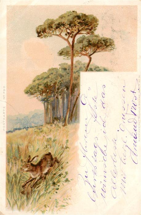Hasen -Rabbits Lapins Conejos-- Nr. 750 Wilhelm Boehme