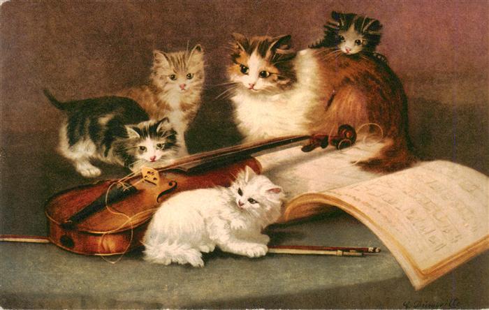 Geige Violine Violon Katzen