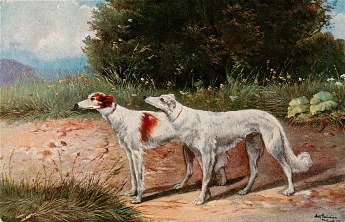 Hunde dogs chiens Hunde