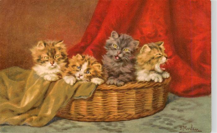 Katzen Korb